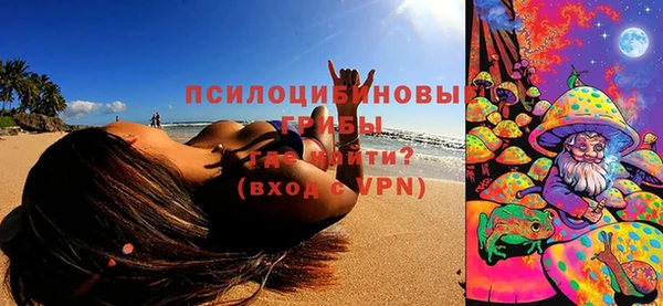 стафф Аркадак