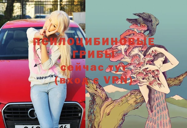 прущая мука Арсеньев
