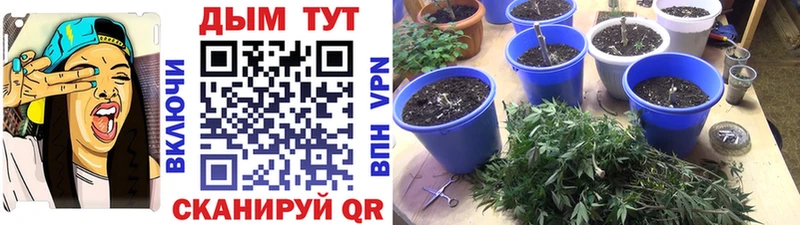 МАРИХУАНА VHQ Баймак